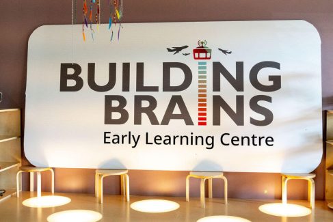 Building Brains