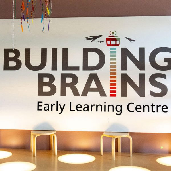 Building Brains