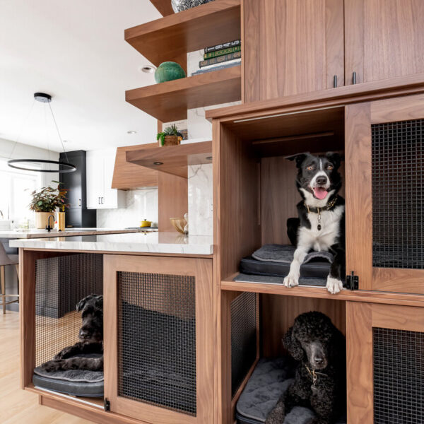 Willowgrove Renovation